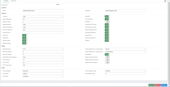 WebRTC Profile